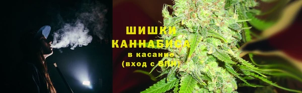 МДПВ Вяземский