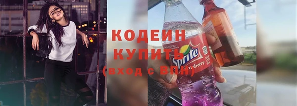 хмурый Горно-Алтайск