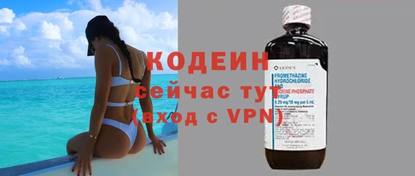 МДПВ Вяземский