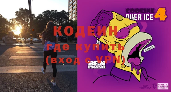 МДПВ Вяземский