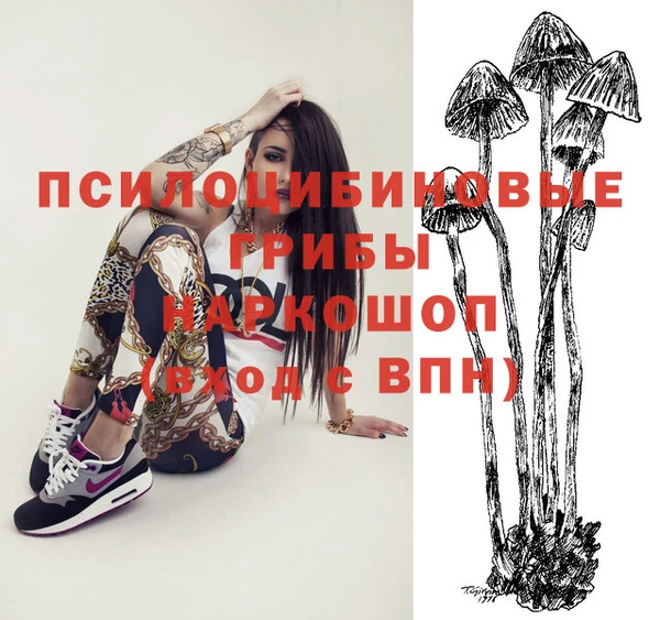 МДПВ Вяземский