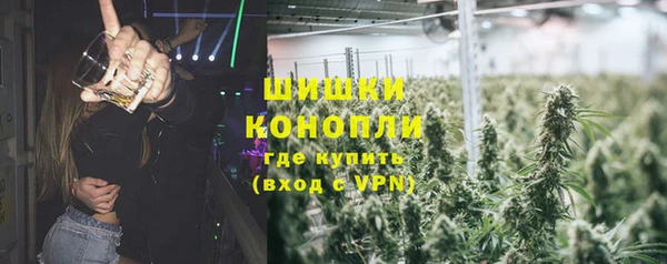 МДПВ Вяземский