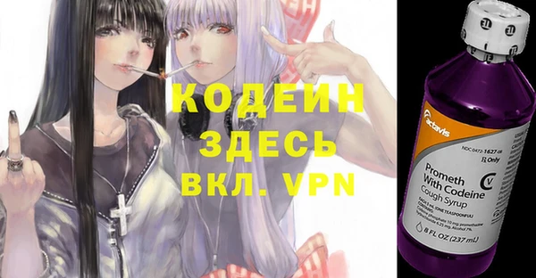 МДПВ Вяземский