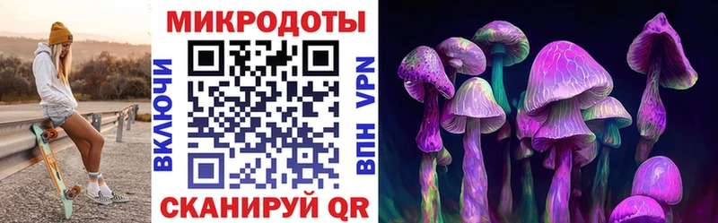 Галлюциногенные грибы мицелий  где найти наркотики  Новошахтинск 